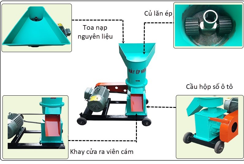 Máy ép cám viên công suất lớn