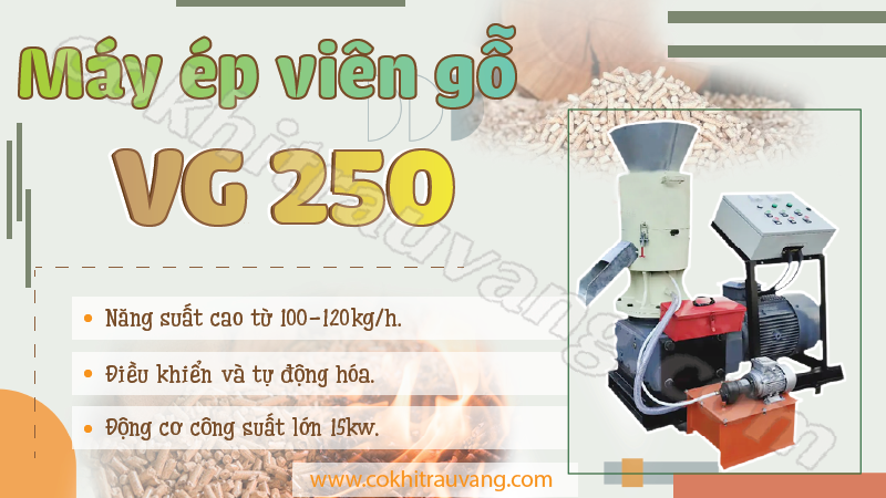 Máy ép viên gỗ VG 250