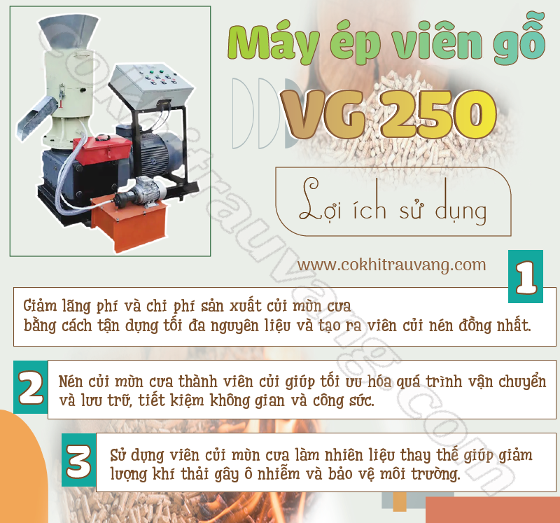 Máy ép viên gỗ VG 250