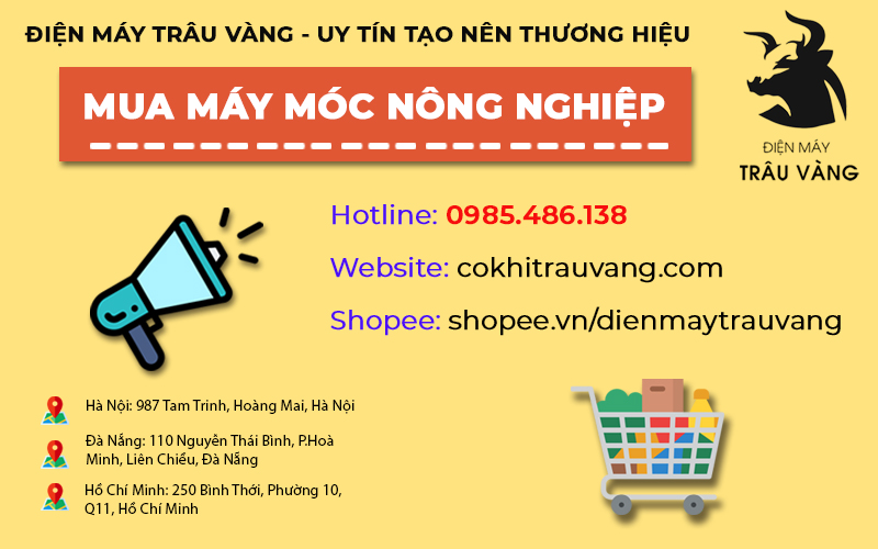 Địa chỉ mua hàng của Trâu Vàng