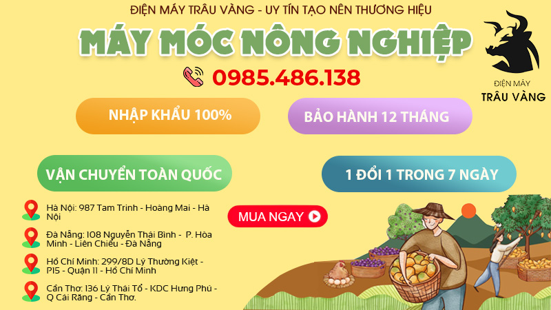 chính sách mua hàng