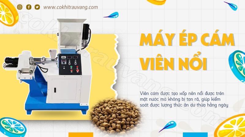 máy ép cám nổi thủy sản