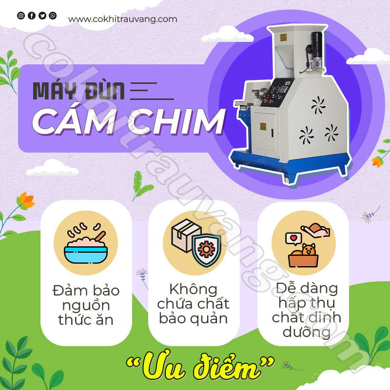 máy đùn cám chim