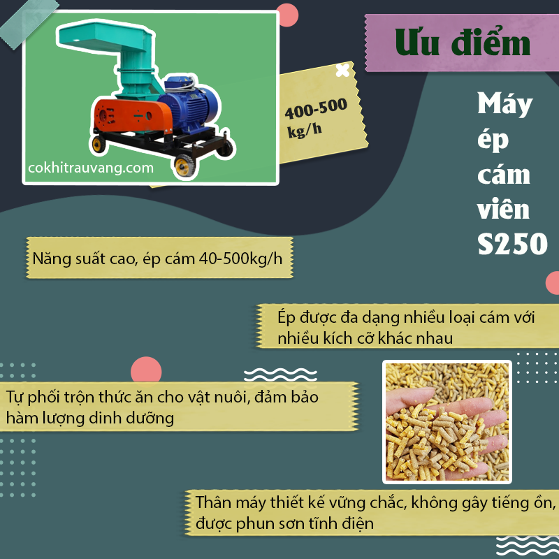 Máy ép cám viên công suất lớn