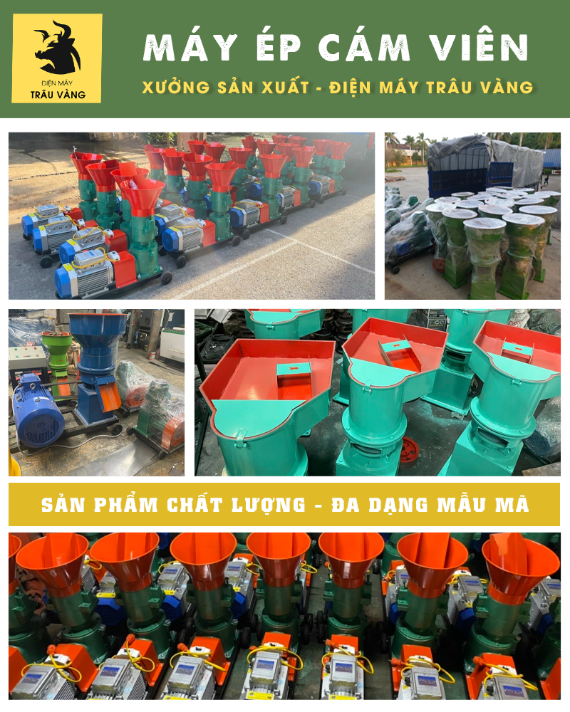 Điện máy Trâu Vàng